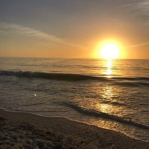 Meet your Posher, Robin